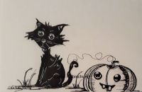 the black cat and the pumpkin